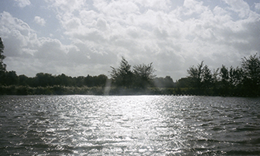 ȸ��Ұ� ���